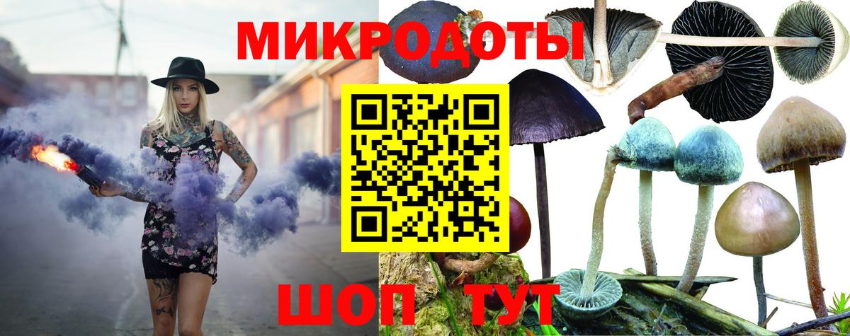 Похвистнево  Псилоцибиновые грибы Psilocybine cubensis  Галлюциногенные грибы прущие грибы  Вход с VPN 